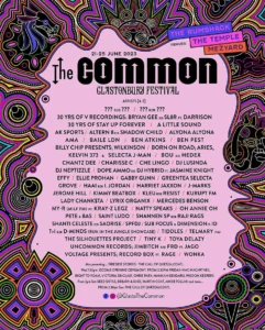 Glastonbury Festival – The Common